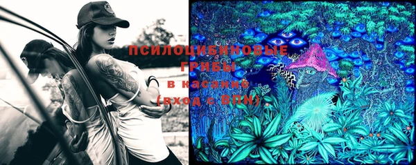 PSILOCYBIN Заволжск