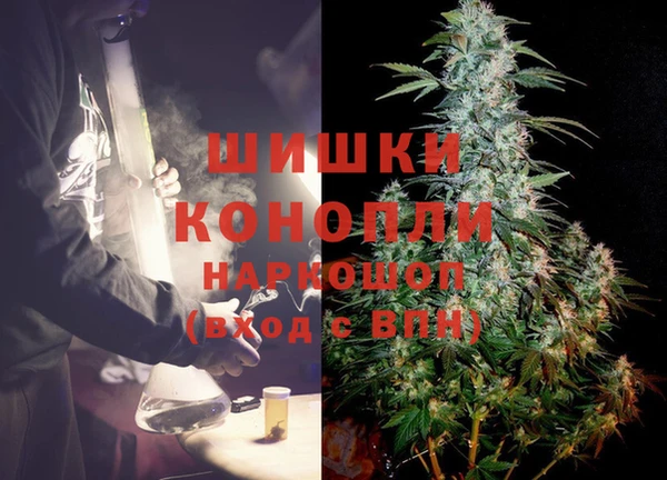 PSILOCYBIN Заволжск