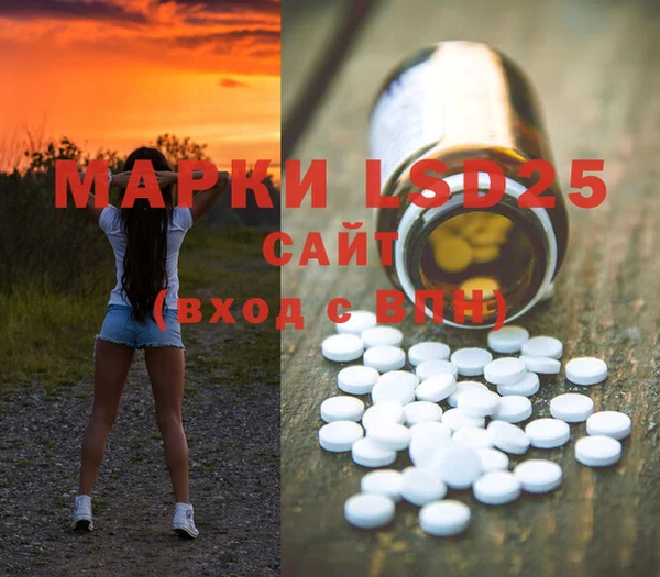 PSILOCYBIN Заволжск