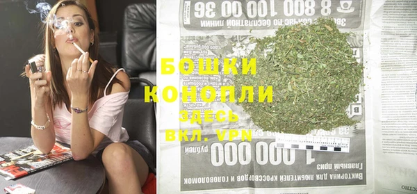 бошки Заводоуковск