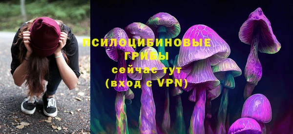 бошки Заводоуковск