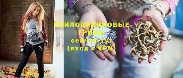 бошки Заводоуковск